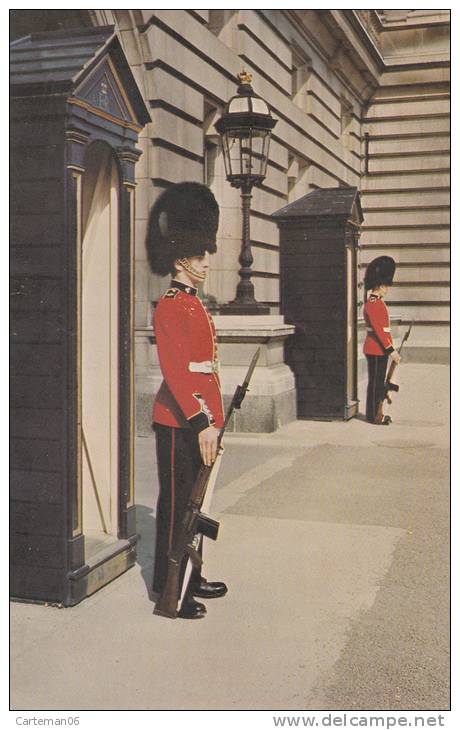 Angleterre - Irish Guards On Sentry Duty At Buckingham Palace, London - Buckingham Palace