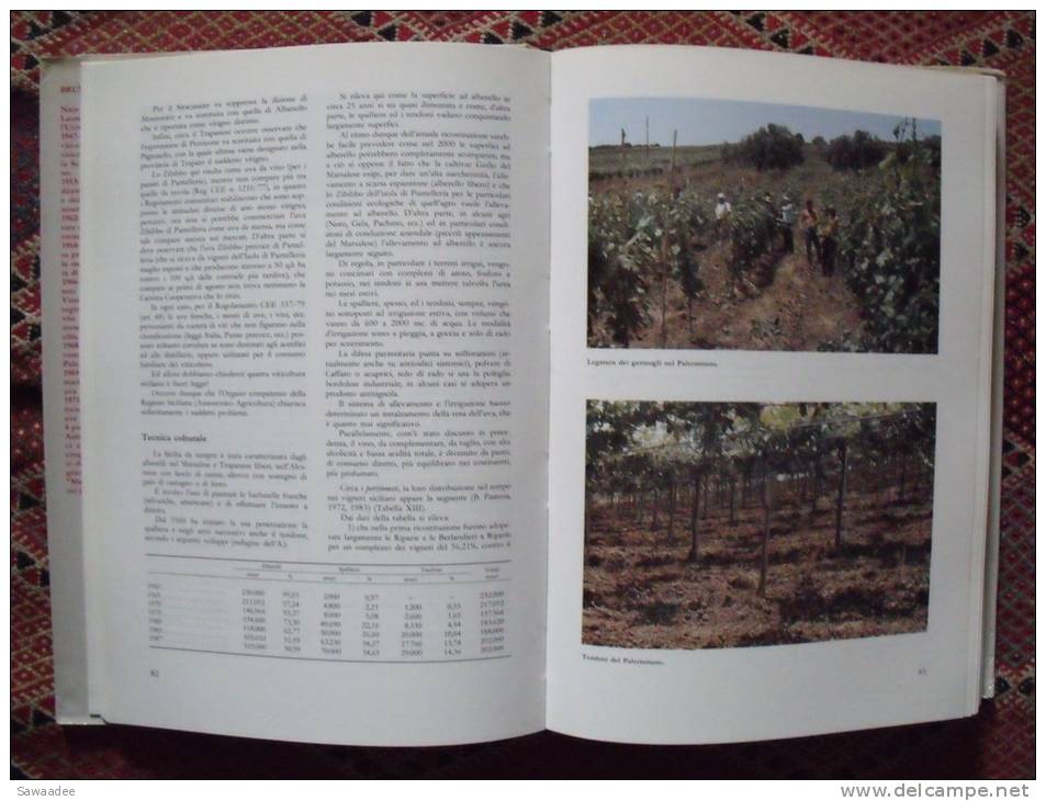 LIVRE - VITICULTURE - HISTOIRE - OENOLOGIE - LA CIVILTA DELLA VITE IN SICILIA - BRUNO PASTENA - ED. LEOPARDI - Autres & Non Classés