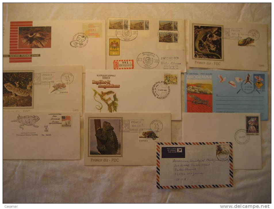 REPTIL Reptils Reptiles Amphibians Prehistoric Fauna 10 Postal History Different Items Collection Lot - Collections (with Albums)