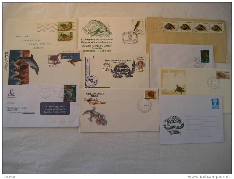 TURTLE Turtles Tortuga Tortugas Tortue Tortoise Reptil Reptiles Fauna 10 Postal History Different Items Collection Lot - Colecciones (en álbumes)