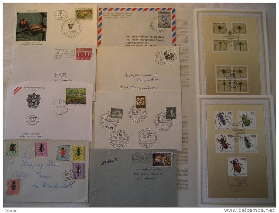 INSECT Insects Insecto Insectos Fauna 10 Postal History Different Items Collection Lot - Collections (with Albums)