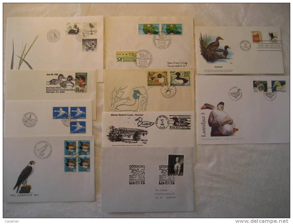 DUCK Ducks Pato Patos Mallard Fauna 10 Postal History Different Items Collection Lot - Collections (en Albums)