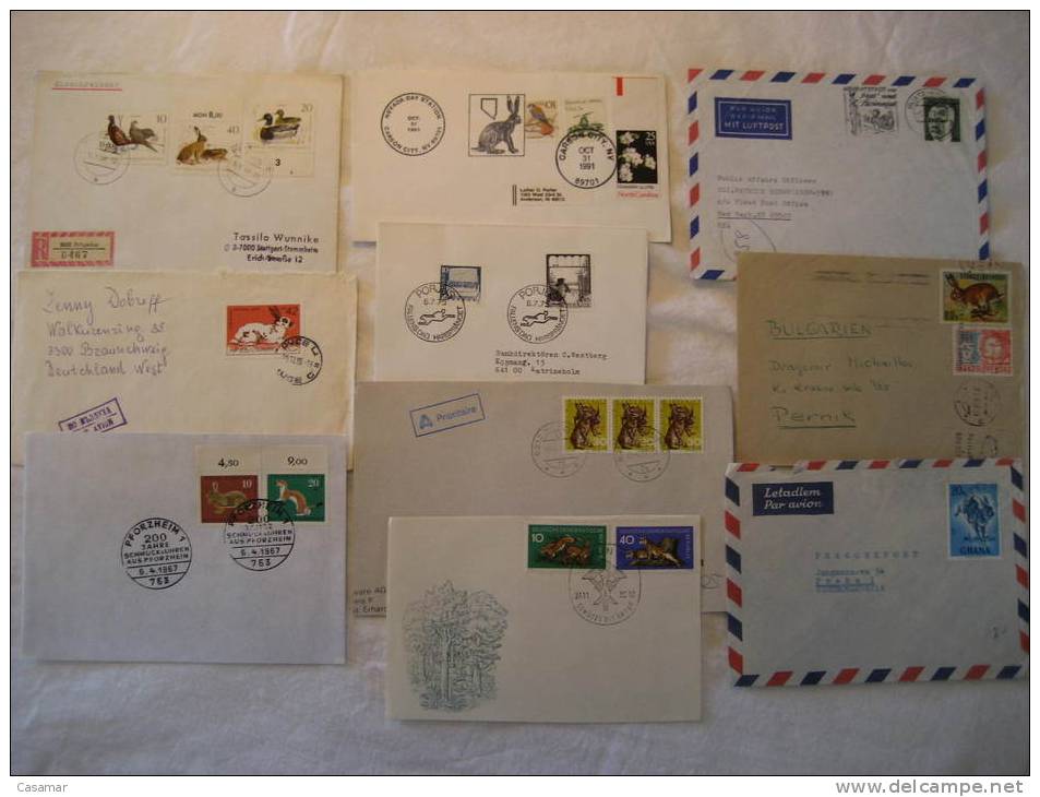 RABBIT Rabbits Conejo Conejos Hare Hares Liebre Liebres Fauna 10 Postal History Different Items Collection Lot - Sammlungen (im Alben)