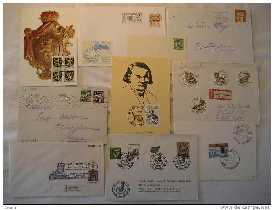 LION Lions Leon Leones Felino Fauna 10 Postal History Different Items Collection Lot - Colecciones (en álbumes)