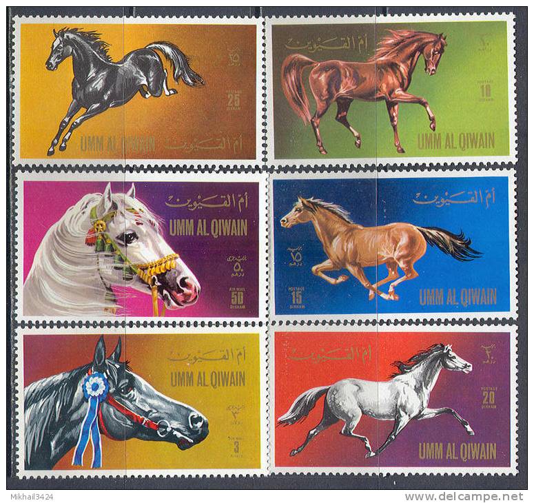 2314 Fauna Horses Umm Al Qiwain 6+S/s Set MNH ** - Horses