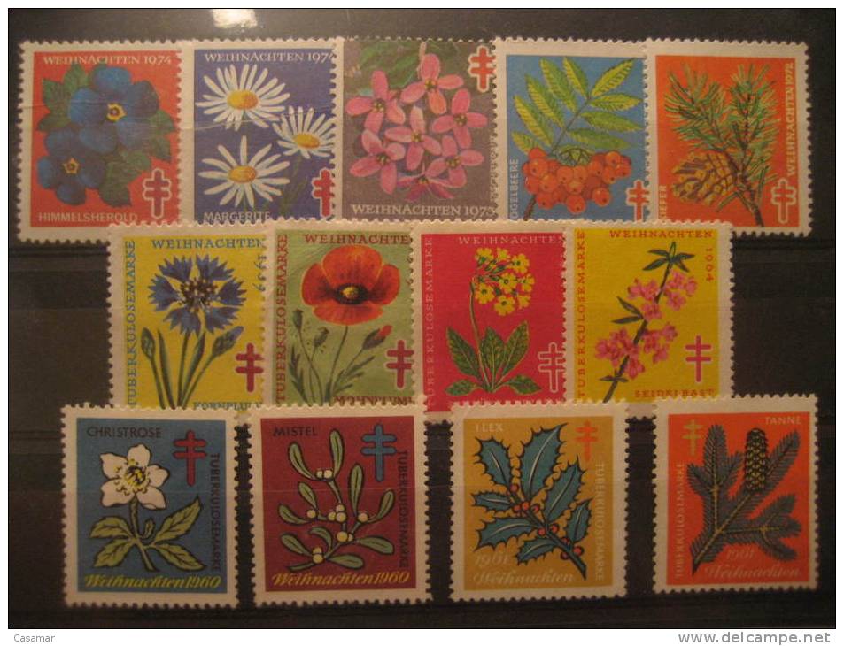 GERMANY Christmas Tuberculosis Tuberkulose Tuberculose Medicine Flora 13 Poster Stamp Label Vignette Vi&ntilde;eta Colle - Colecciones (en álbumes)