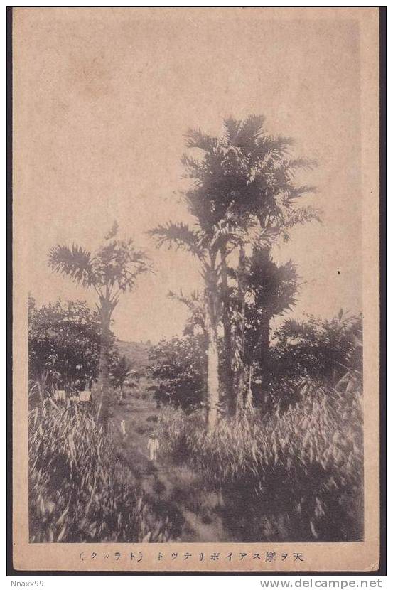 Micronesia - Vews Of Truk Island, Palm Trees, Japanese Vintage Postcard - Micronesia