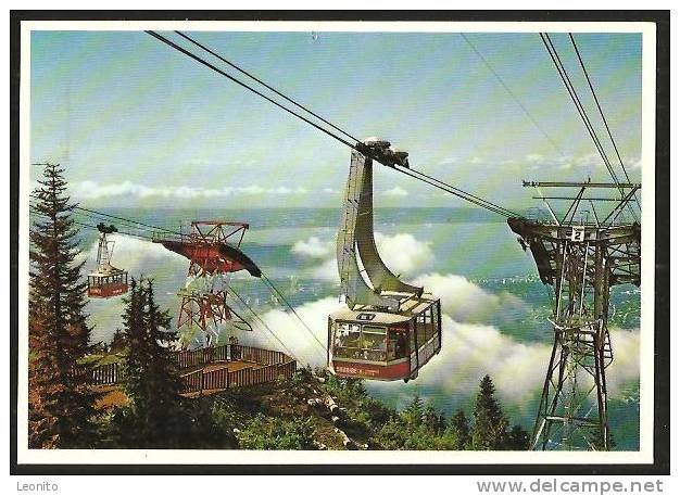 Grouse Mountain Skyride To The Top B.C. North Vancouver Canada Nature Trail Grouse Lake 1990 - Vancouver