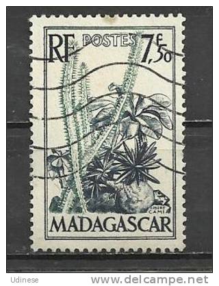 MADAGASCAR 1954 - PLANTS - USED OBLITERE GESTEMPELT - Cactus