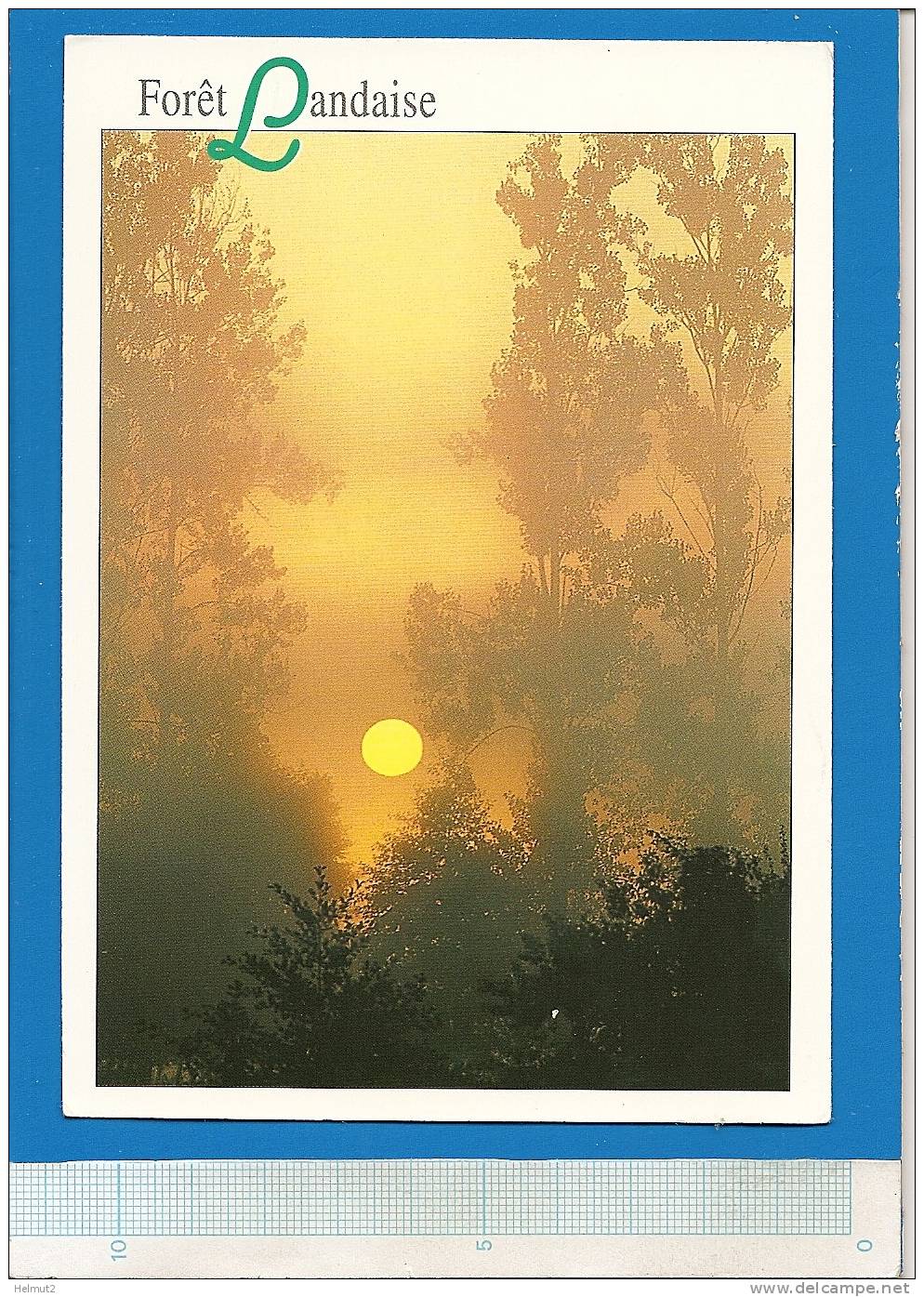 MT274 - Coucher De Soleil Sur La FORET LANDAISE Landes (voir DescrIption 2 Scan)  Ed. COMPA Carterie Aix - Circulé 2003 - Halt Gegen Das Licht/Durchscheink.