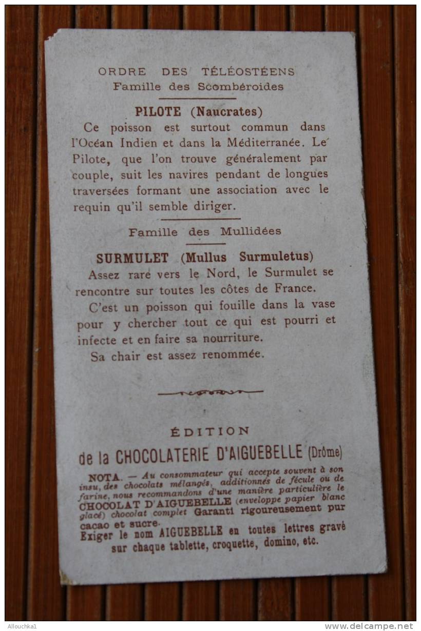 CHROMO -IMAGE CHOCOLATAIGUEBELLE "MONDE SOUS MARIN  POISSONS PILOTE SARMALET "A TRAVERS FLOTS CACAO -CHOCOLATE CHOCOLADE - Aiguebelle