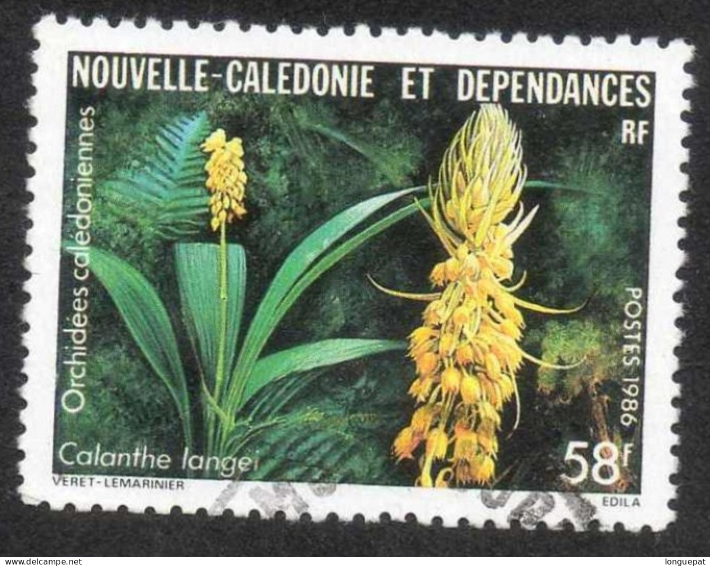 NOUVELLE-CALEDONIE : Orchidées Calédonienne : Calanthe Langei -Fleur - Oblitérés