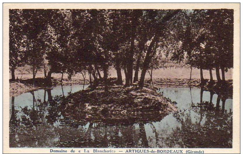 D 33  ARTIGUES DE BORDEAUX  Domaine De "La Blancherie " - Andere & Zonder Classificatie