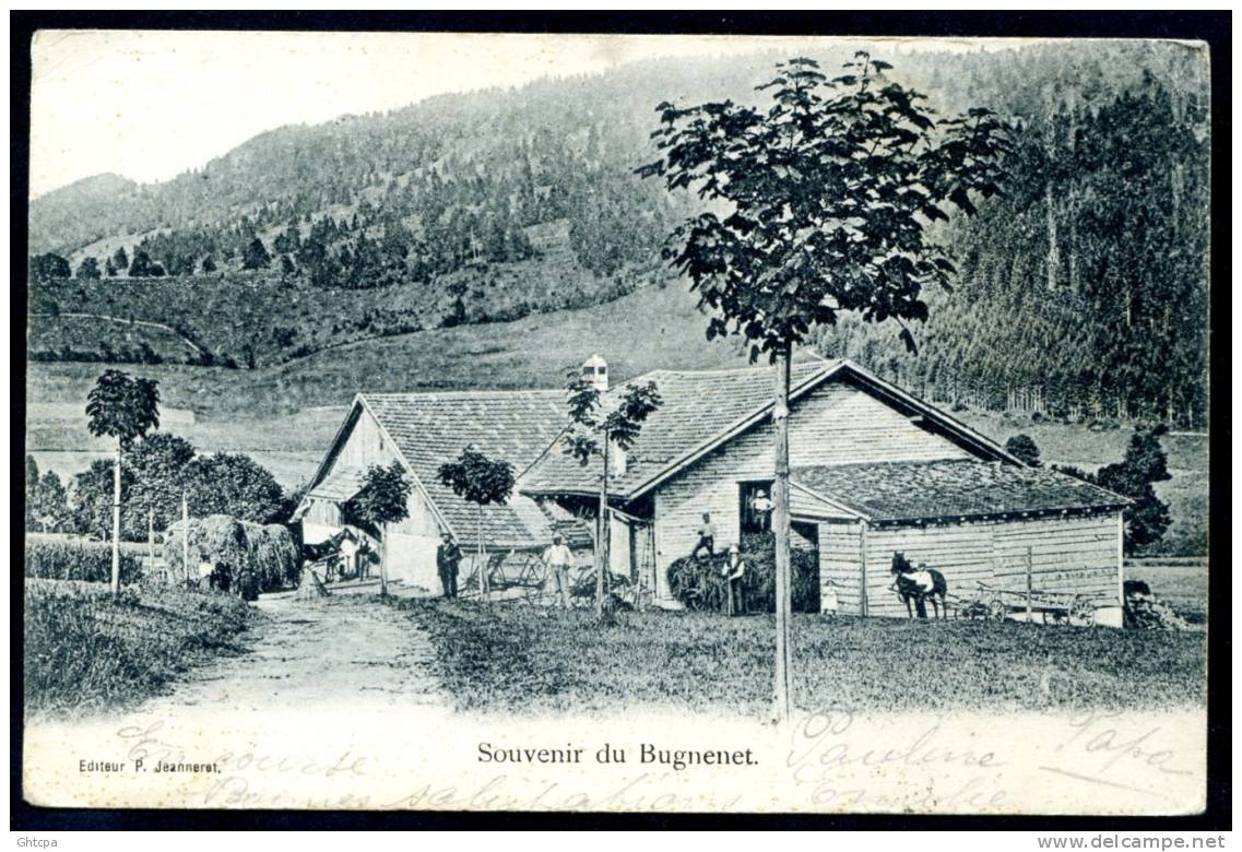 CPA. SUISSE.  Souvenir Du Bugnenet.   "Attelages". - Autres & Non Classés