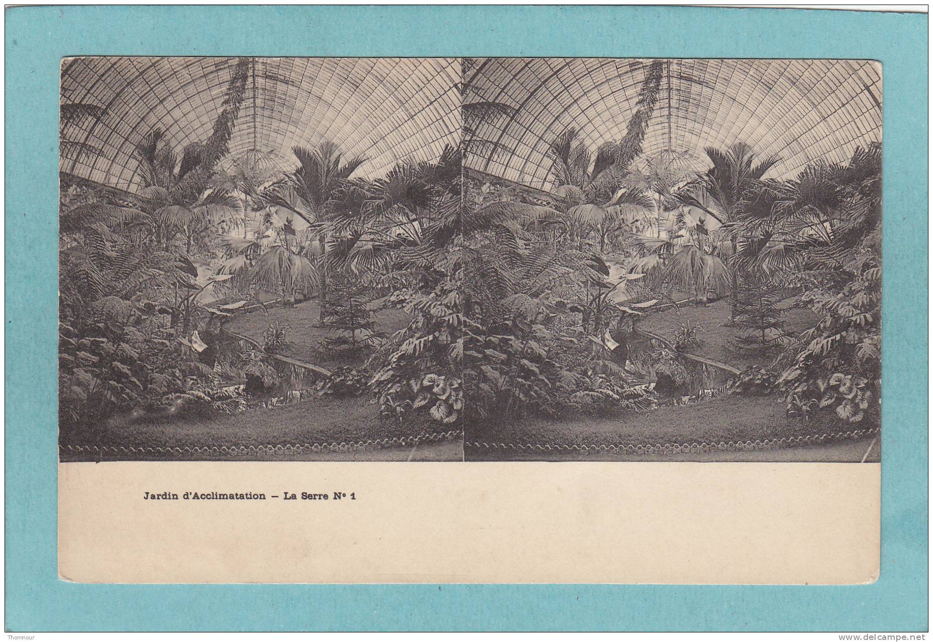 JARDIN D´ ACCLIMATATION  -  BELLE  CARTE STEREO  - - Estereoscópicas