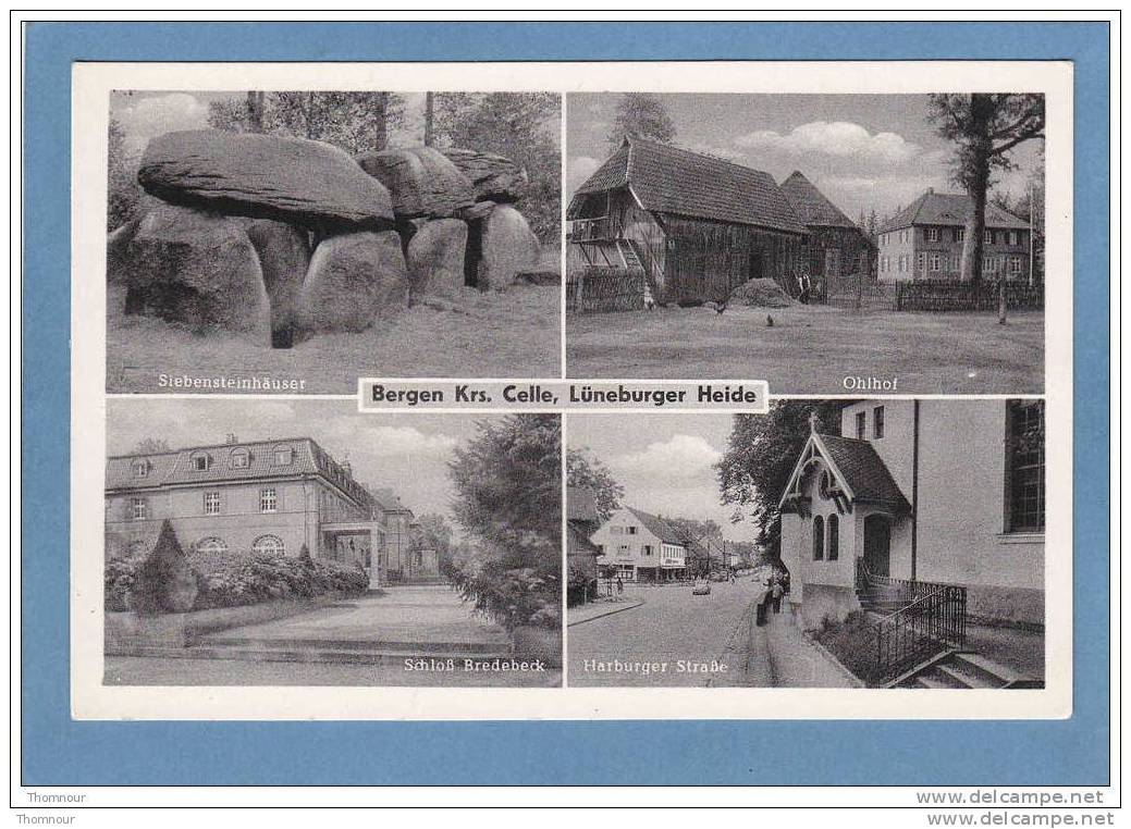 Bergen  Krs.  Celle , Lüneburger  Heide - 4  VUES   - BELLE  CARTE - - Lüneburger Heide