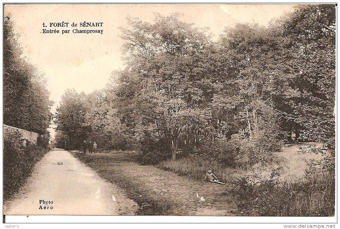 Cpa, Forêt De Sénart (S.-et-O., 91), Entrée Par Champrosay, Animée - Sénart