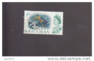 Bahamas - Sea Garden - Scott #213 - Bahamas (1973-...)