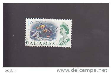 Bahamas - Sea Garden - Scott #213 - Bahamas (1973-...)