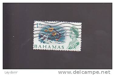 Bahamas - Sea Garden - Scott #213 - 1963-1973 Interne Autonomie