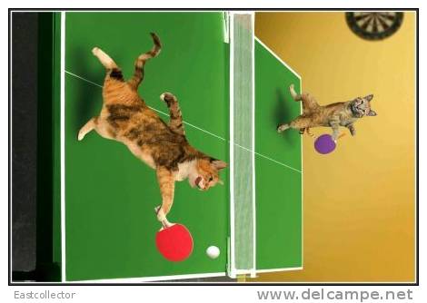 Table Tennis Stamped Carte Postal 1275 -4 - Tennis De Table