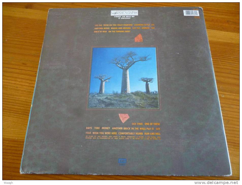 PINK FLOYD "delicate Sound Of Thunder" 2 LP RUSSIAN Press - Rock