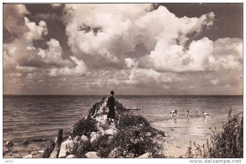 Deutschland > Mecklenburg-Vorpommern, Boek/Müritz 1962, Die Steinmole, Gelaufen Ja 1962 - Waren (Mueritz)