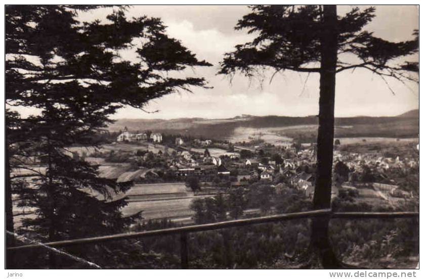 Deutschland >Thüringen, Luftkurort Finsterbergen,Thür. Wald, Blick Vom Hainfels, Gelaufen Ja 1961 - Friedrichroda