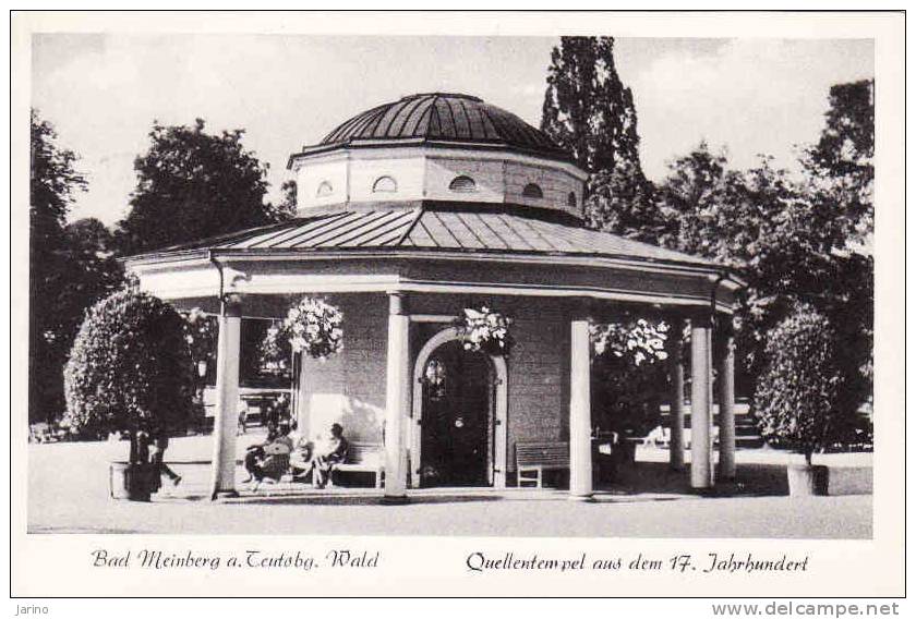 Deutschland >Nordrhein-Westfalen >  Bad Meinberg A.Teutobg. Wald 1960, Quellentempel, Kleinformat, Gelaufen Ja 1956 - Bad Meinberg