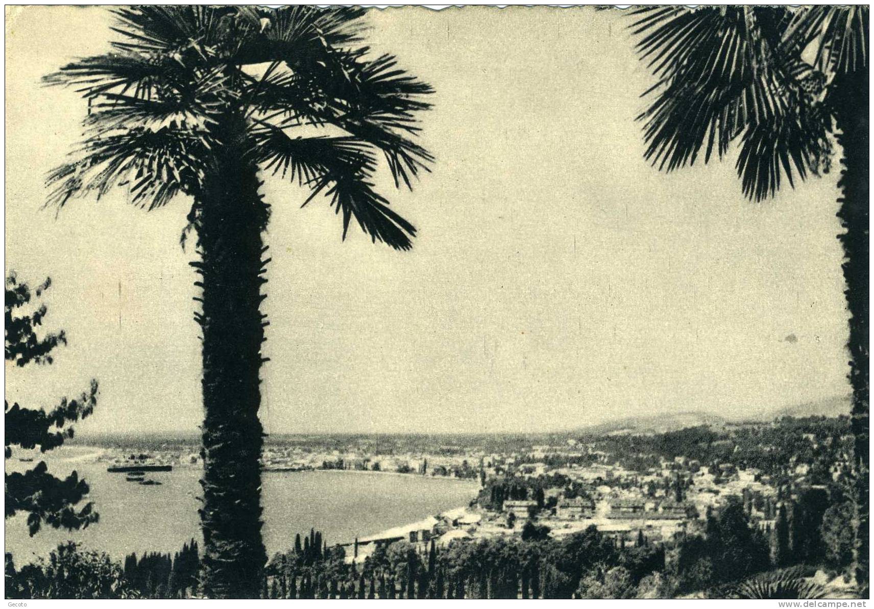 Soukhoumi - Vue Des Jardins De L'institut De Botanique De L'URSS - Georgien