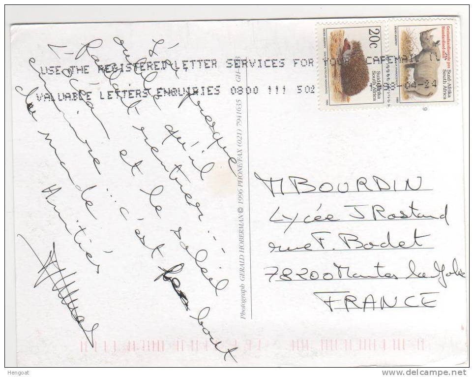 2 Timbres Thème : " Animaux " / Carte Du 24/04/98 De Cape Town Pour La France ,2 Scans - Brieven En Documenten