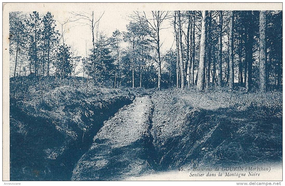 Environs De Gourin - Sentier Dans La Montagne Noire - Gourin