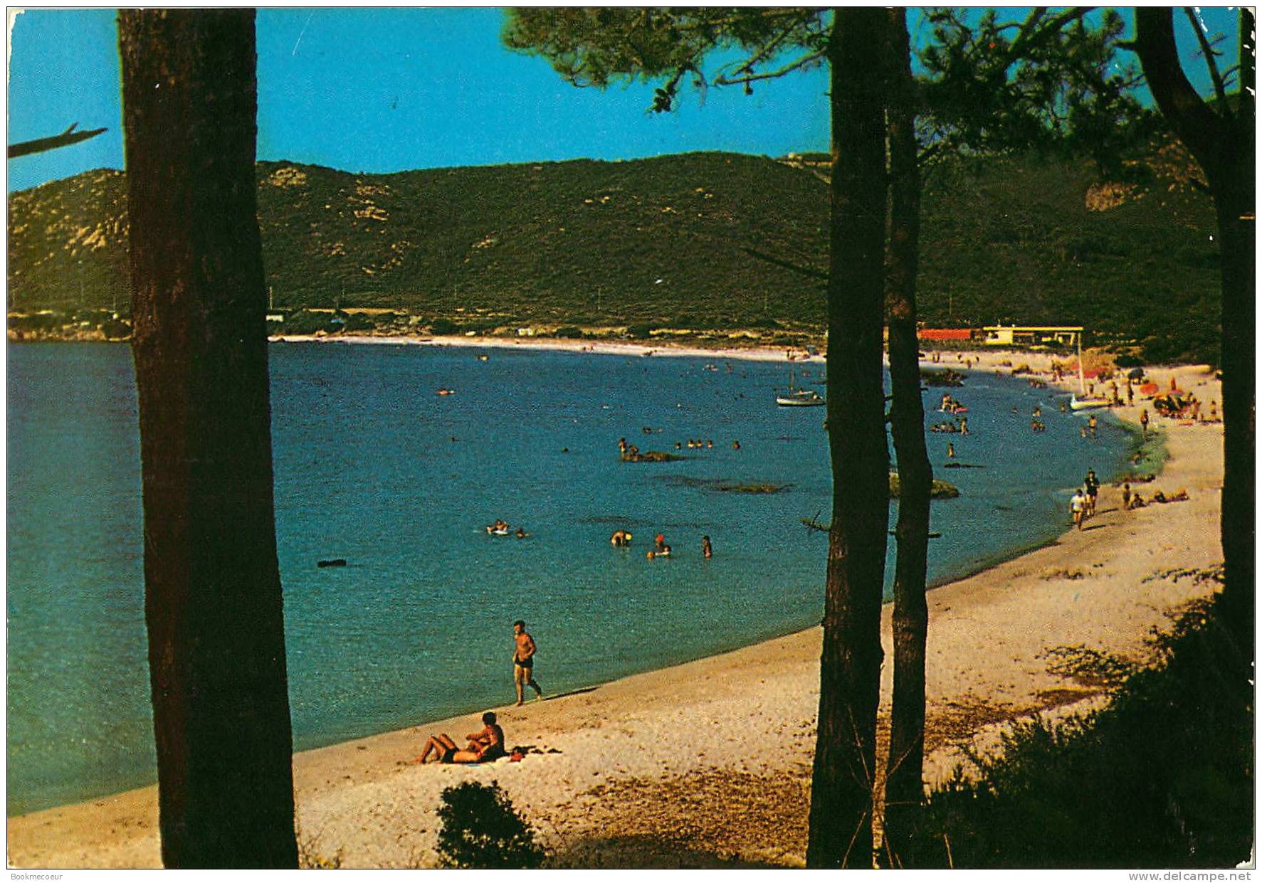 CORSE   VERGHIA LA PLAGE DE CIRIONE DITE PLAGE D'ARGENT - Corse