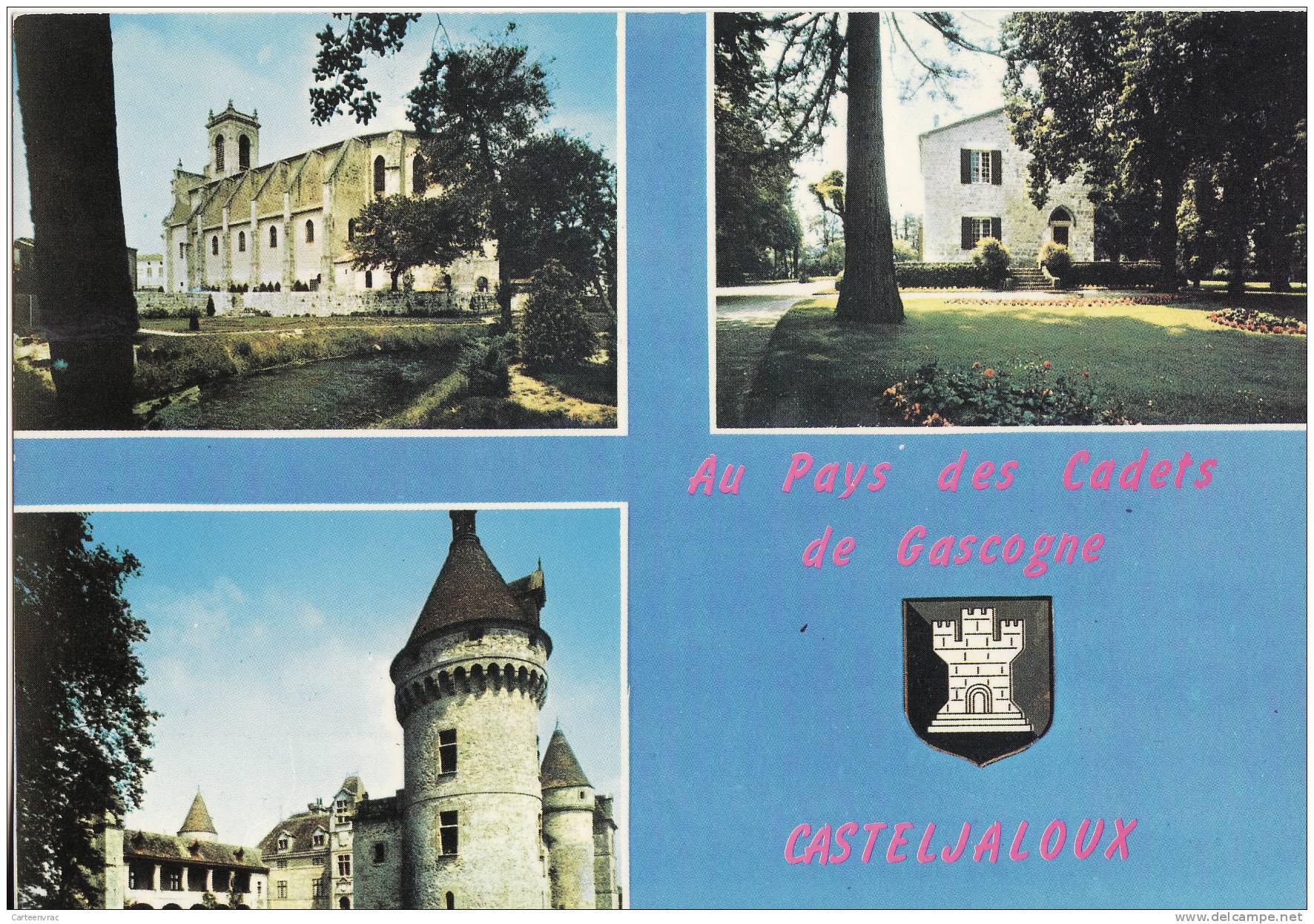 113  Casteljaloux  Carte Multi-vue Des Années 80 - Casteljaloux