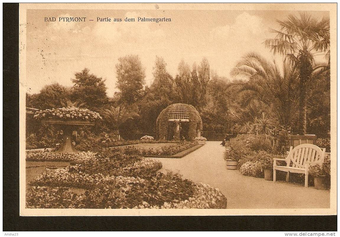 Germany, Bad Pyrmont - Partie Aus Dem Palmengarten - Passed Post In 1925 - Kunstverlagsanstalt Bruno Hansmann, Cassel - Bad Pyrmont