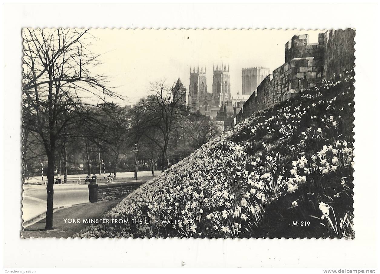 Cp, Angleterre, York, York Minster From The City Walls, écrite - York