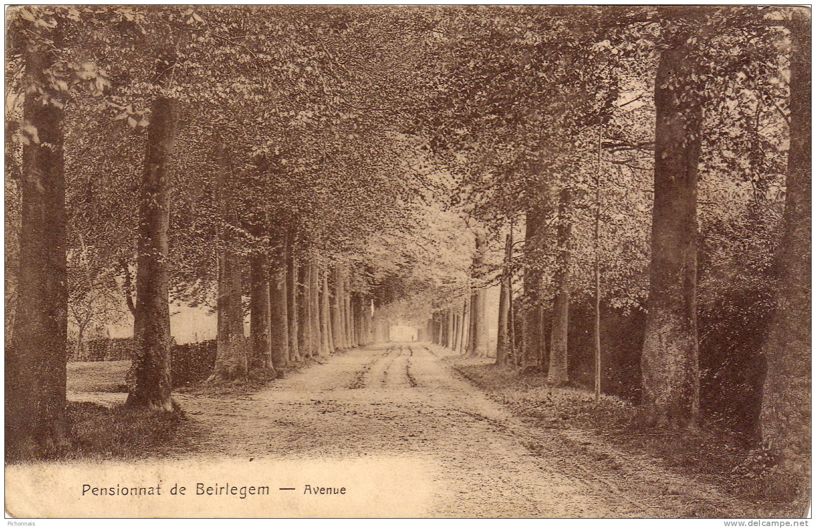 BEIRLEGEM   Pensionnat      Avenue - Zwalm