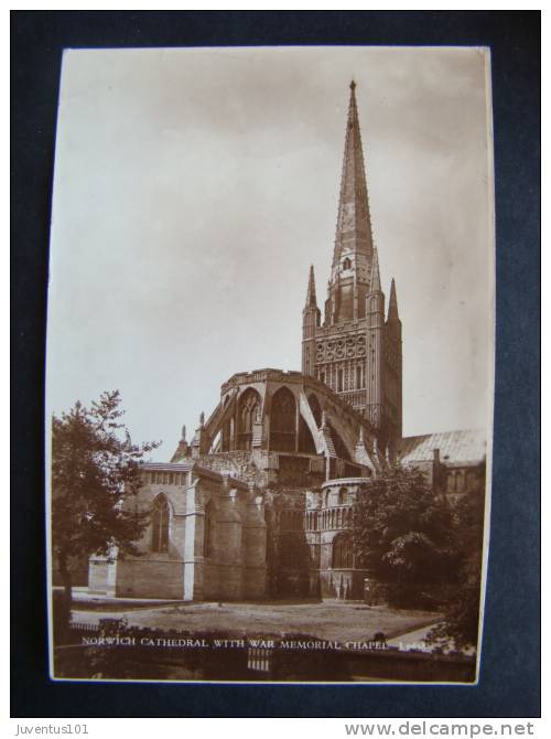 CPSM Norwich Cathedral   L934 - Norwich