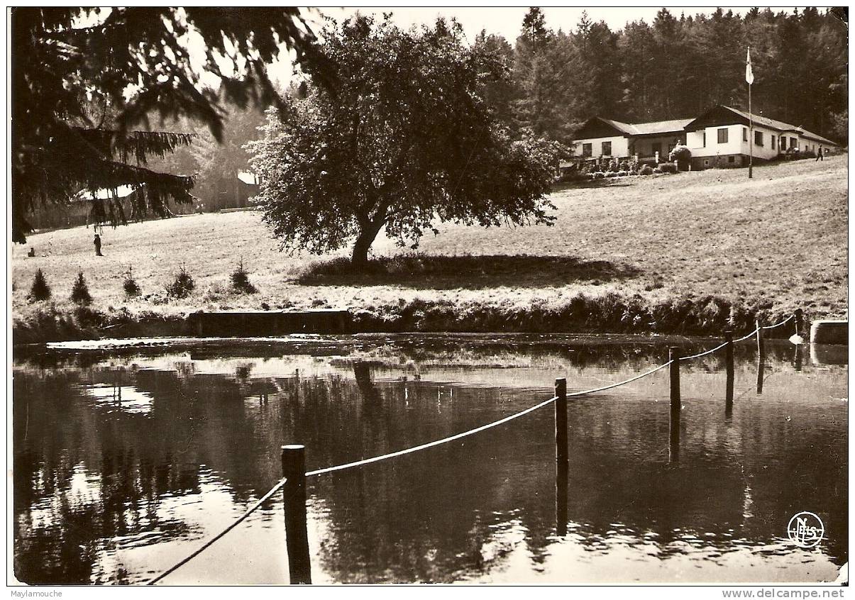 Louette-saint-pierre - Gedinne