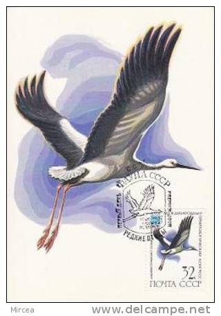 597 - Russie 1982 - Carte Maximum - Oiseaux - Cartes Maximum