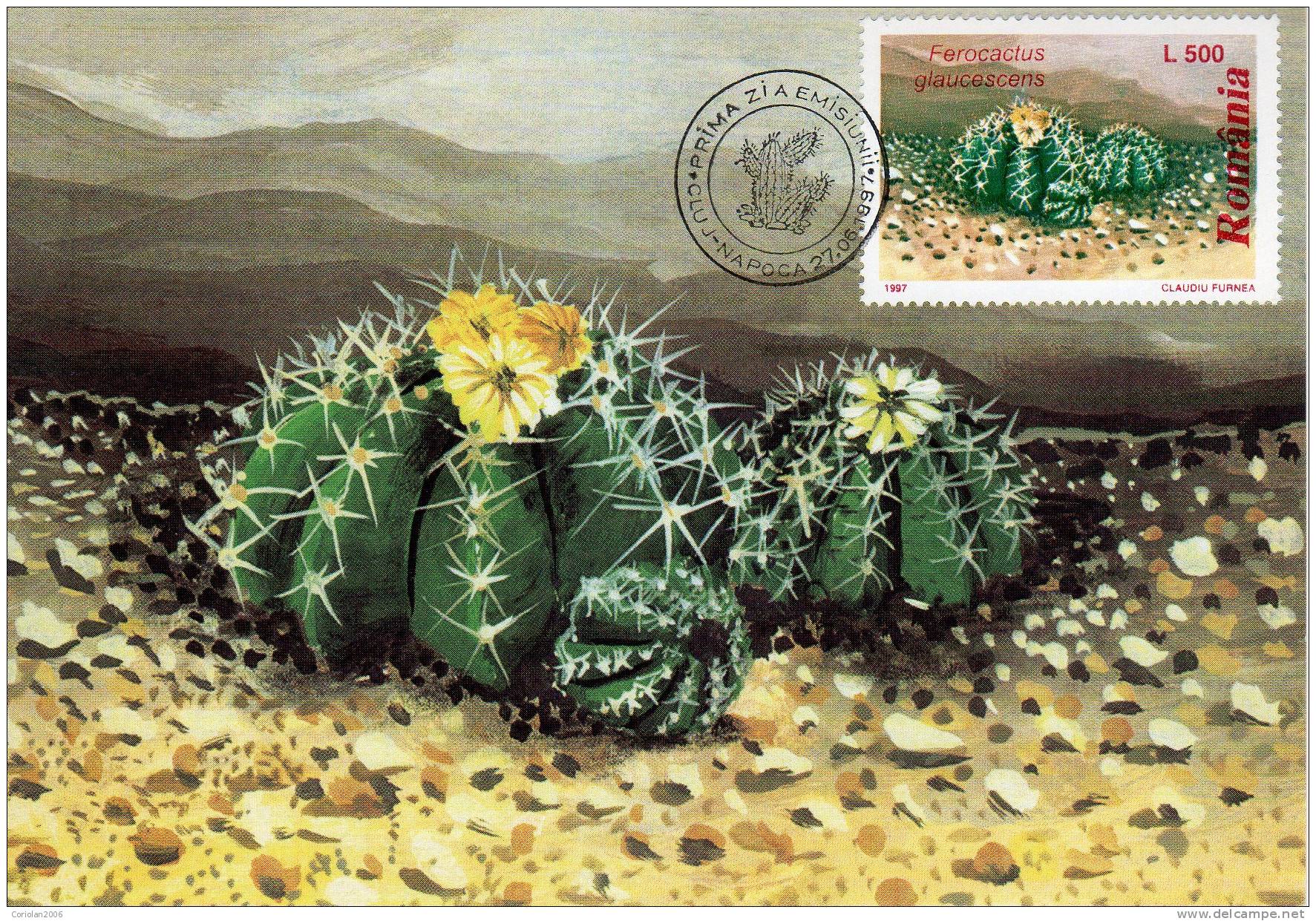 Romania / Maxi Card / Cactus / First Day Of Issue - Autres & Non Classés