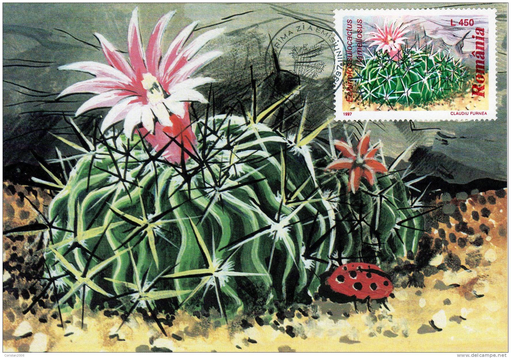 Romania / Maxi Card / Cactus / First Day Of Issue - Autres & Non Classés