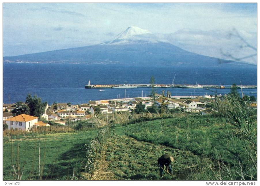 Horta Açores Um Trecho Da Cidade - Açores