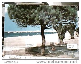 ORISTANO SPIAGGIA DI TORRE GRANDE VB1985 DN3522 - Oristano