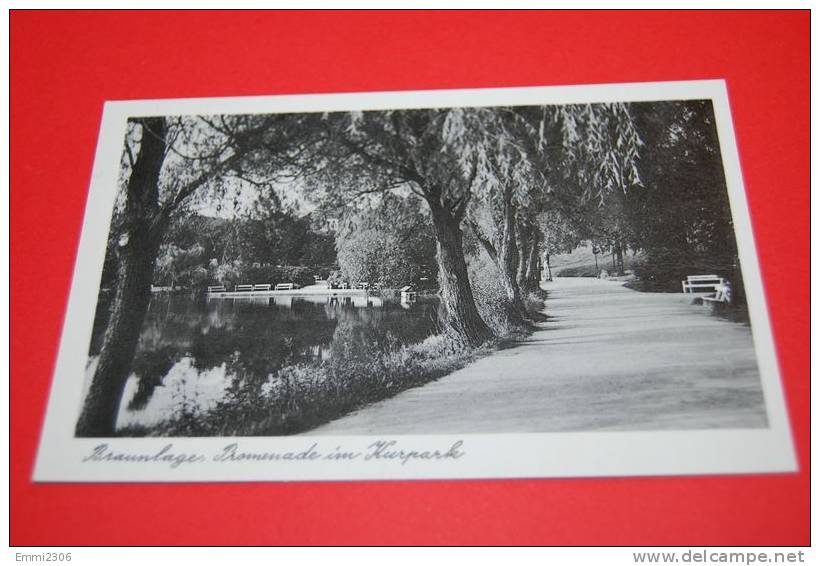 Braunlage  Promenade Im Kurpark  Gelaufen 1959 - Braunschweig