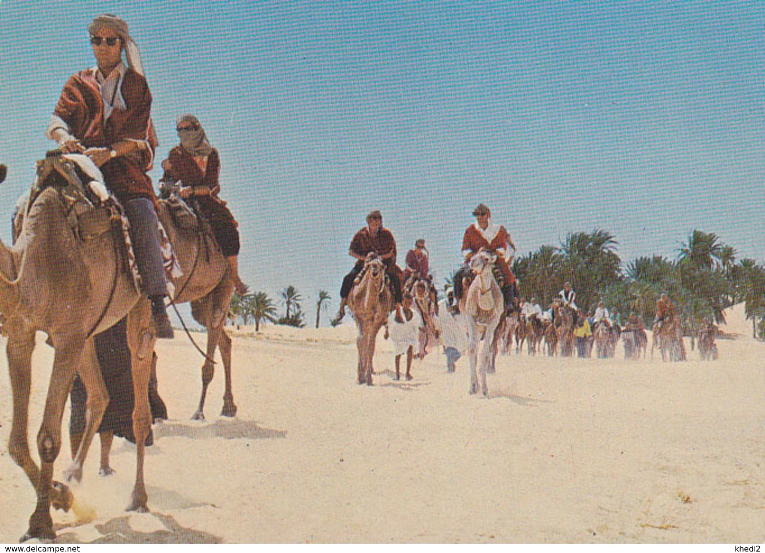 Carte Postale CP - ANIMAL - CHAMEAU / Excursion Au Sahara - CAMEL Postcard - KAMEL Postkarte AK - 24 - Sonstige & Ohne Zuordnung