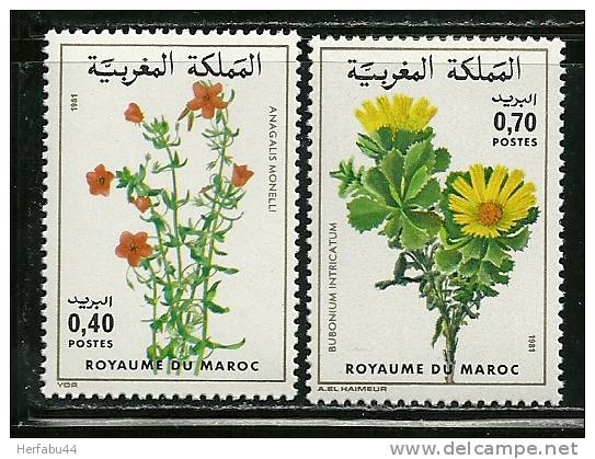 Morocco       "Flowers"        Set     SC# 484-85  MNH** - Morocco (1956-...)