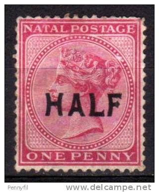 NATAL – 1895 YT 56 USED - Natal (1857-1909)