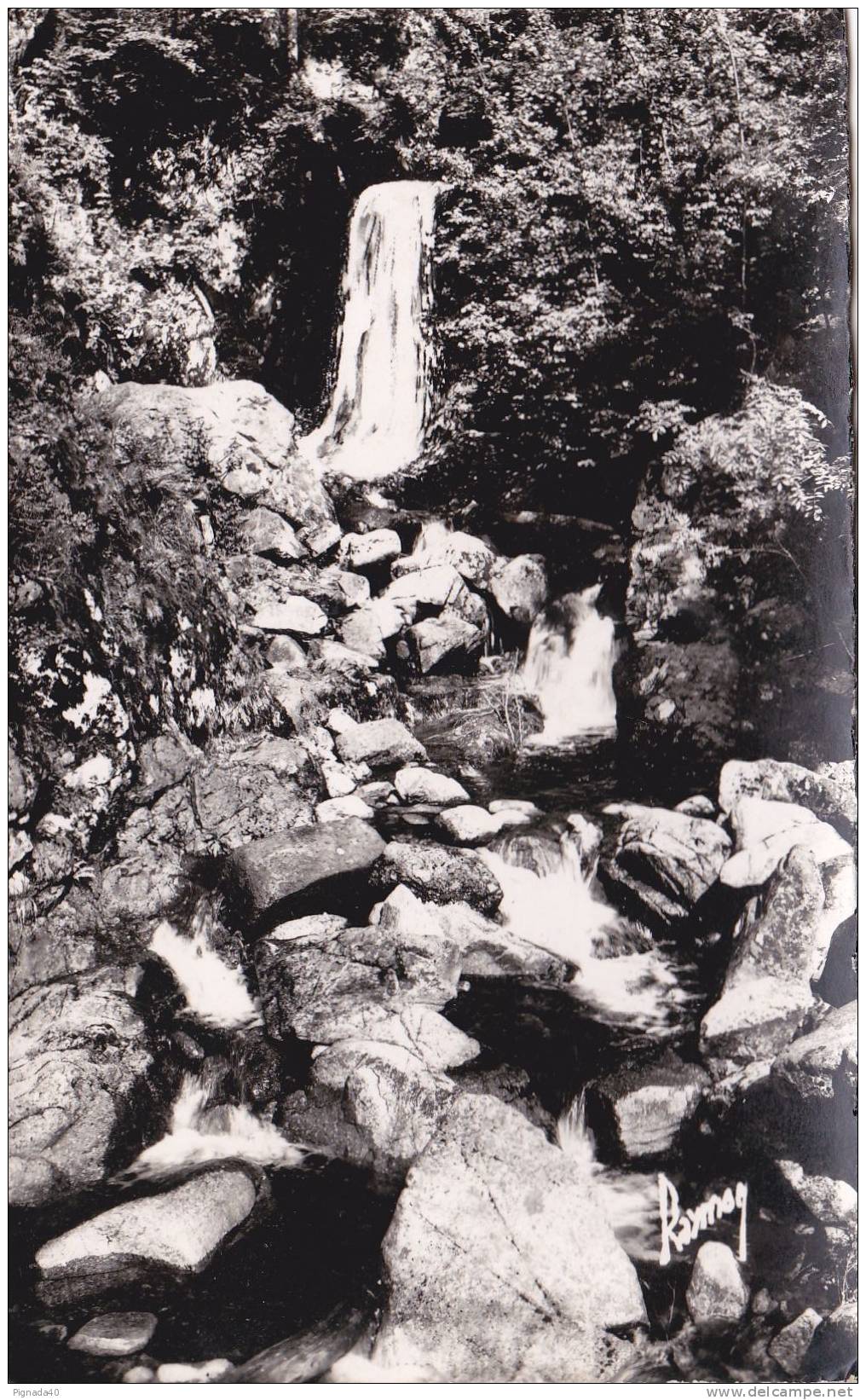 Cp , RÉGIONS , LORRAINE , L'une Des Plus Belles Cascades Des Vosges , Le Saut De La Truite (altit. 706m.) - Lorraine