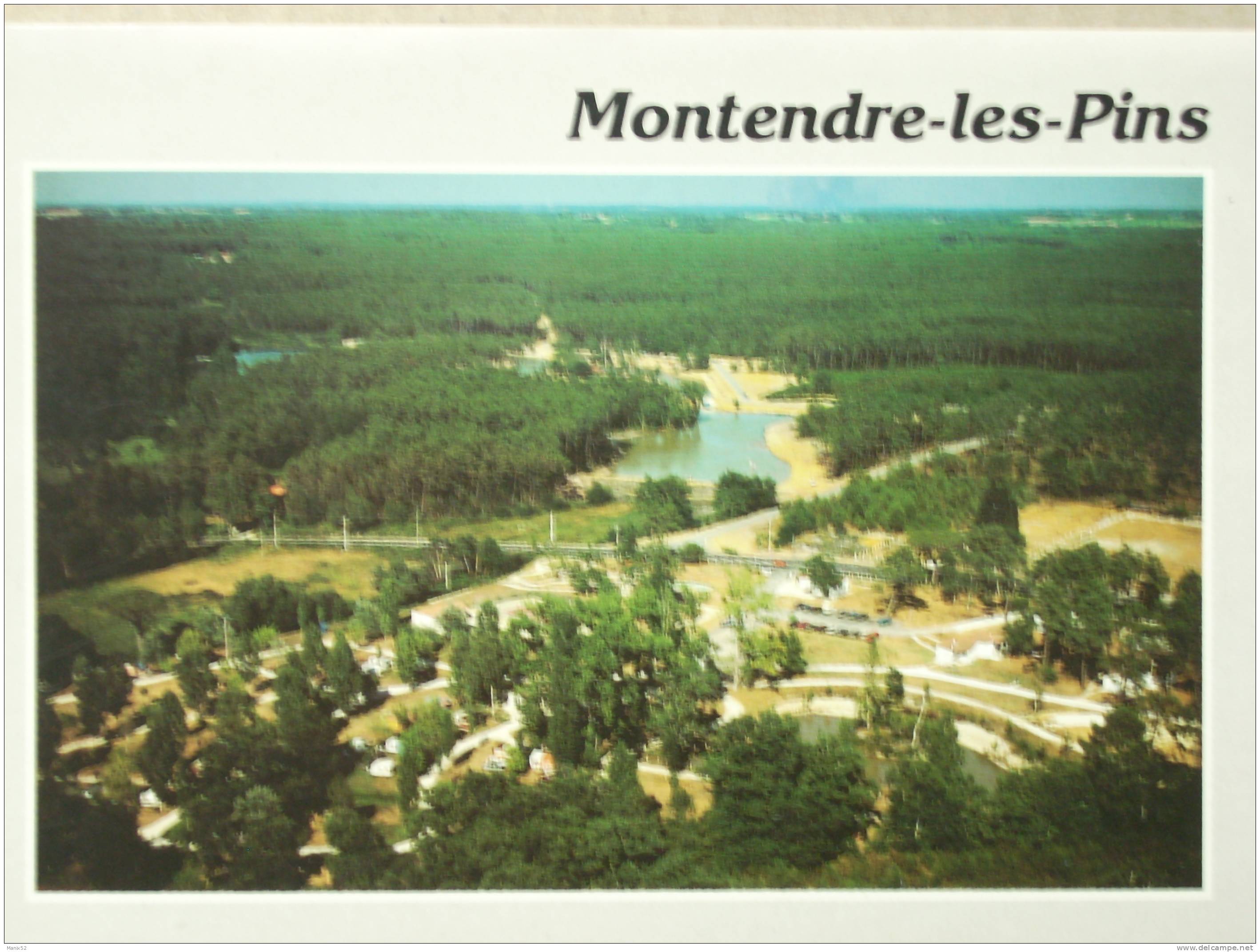 17 - MONTENDRE-les-PINS - Le Camping, Le Village De Vacances Et Le Lac Baron D´ Esqueyroux (Vue Générale). - Montendre